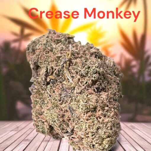 CREASE MONKEY 🙈🐵4GRAMS 🎃HALLO SALE🎃HYBRID 31%THC