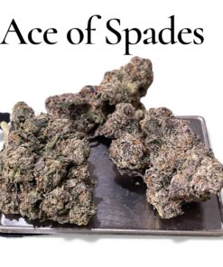 ACE OF SPADES 3.5grams INDICA 🎃HALLO SALE 🎃 30%THC