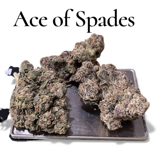 ACE OF SPADES 3.5grams INDICA 🎃HALLO SALE 🎃 30%THC