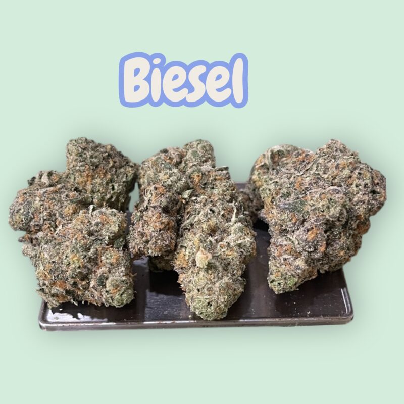 Biesel: A Diesel-Driven Sativa That Powers Focus, Creativity, and Uplifted Energy