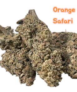 ORANGE SAFARI OZ  28grams SALE 26%THC SATIVA