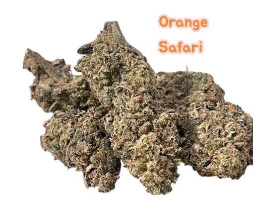 ORANGE SAFARI OZ  28grams SALE 26%THC SATIVA