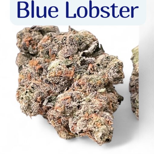 BLUE LOBSTER (Main Trees) 28grams ON SALE  37%THC HYBRID  🎃HALO SALE 🎃 🦞Limited Batch🦞NEW DROP🔥🔥