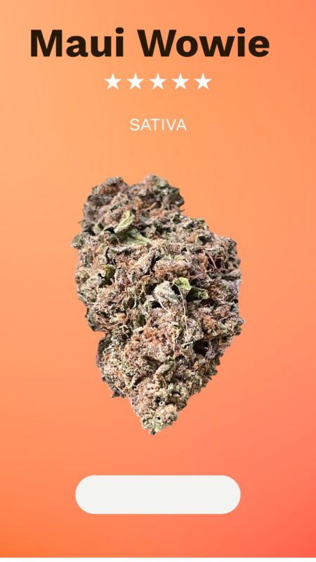 Maui Wowie: A Tropical Classic That Delivers Uplifting Island Energy and Creative Bliss
