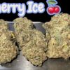 CHERRY ICE🍒🍒 28grams HYBRID 26%THC
