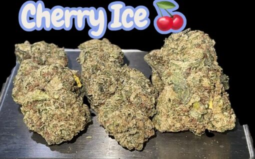 CHERRY ICE🍒🍒 28grams HYBRID 26%THC