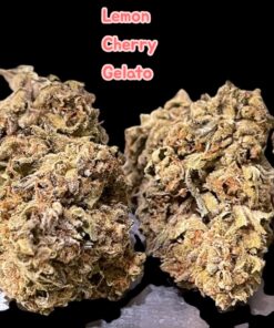 LEMON CHERRY GELATO 7grams QUARTER HYBRID 25%THC 🎃HALLO SALE🎃🎃
