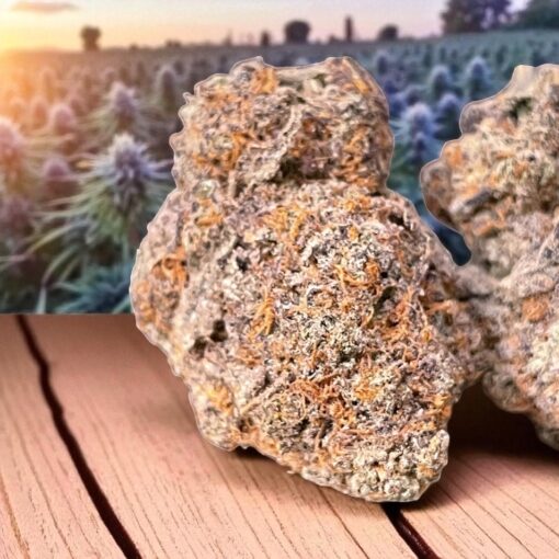APPLE SMACKS🍎🍎4GRAMS HYBRID 🎃HALLOSALE🎃30%THC