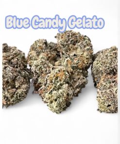BLUE CANDY GELATO3.5grams EXOTICS 🎃HALLOSALE🎃36%THC HYBRID