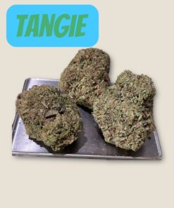 TANGIE 28g OZ SATIVA ON SALE 🔥🔥 28%THC TANGIE 28g OZ SATIVA ON SALE 🔥🔥 28%THC