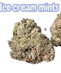 ICE CREAM 🍨 MINTS 28grams Oz SALE 28%THC 🔥🔥🔥HYBRID ICE CREAM 🍨 MINTS 28grams Oz SALE 28%THC 🔥🔥🔥HYBRID