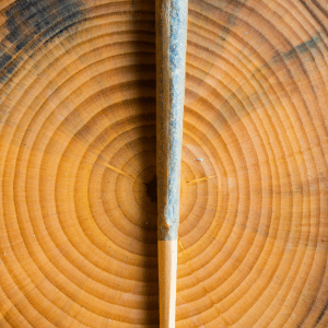 hoyt avenue weed delivery