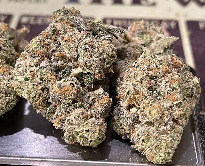 NINO BROWN 3.5grams 35%THC HYBRID 🔥EXOTICS 🎉BLACK FRIDAY🎉 NINO BROWN 3.5grams 35%THC HYBRID 🔥EXOTICS 🎉BLACK FRIDAY🎉