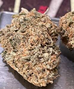 BLACK WIDOW 3.5grams HYBRID 30%THC 🔥🔥