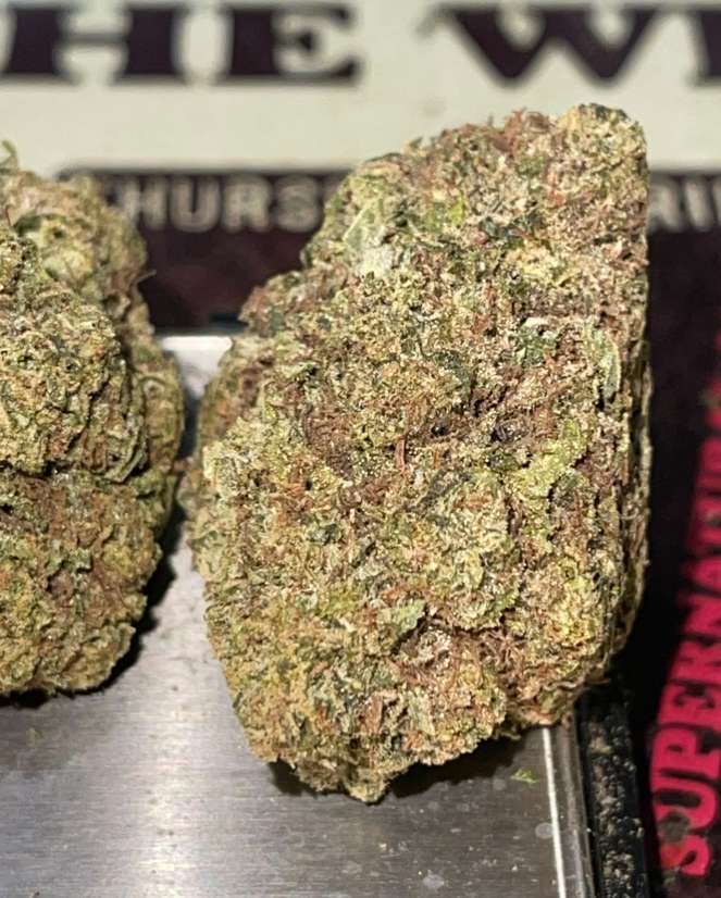 WHITE TRUFFLE 28grams HYBRID OZ On SALE 28%THC 🔥🔥 WHITE TRUFFLE 28grams HYBRID OZ On SALE 28%THC 🔥🔥