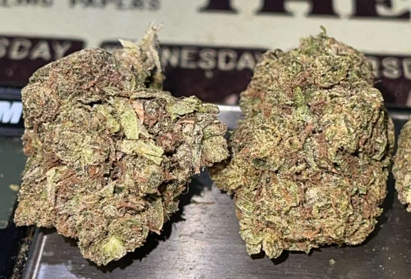 WHITE TRUFFLE 28grams HYBRID OZ On SALE 28%THC 🔥🔥 WHITE TRUFFLE 28grams HYBRID OZ On SALE 28%THC 🔥🔥