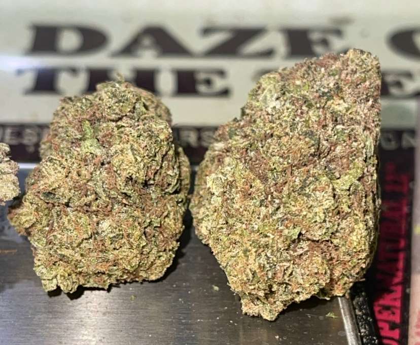 WHITE TRUFFLE 28grams HYBRID OZ On SALE 28%THC 🔥🔥 WHITE TRUFFLE 28grams HYBRID OZ On SALE 28%THC 🔥🔥