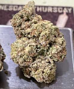 GMO GUAVA CREAM 28GRAMS OZ SALE 25%THC INDICA 🔥🔥