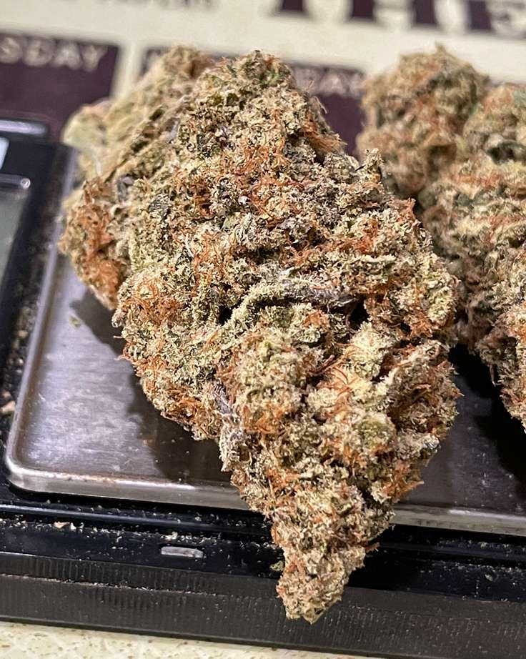 PINNEAPPLE 🍍 MAC 4GRAMS 31%THC INDICA 🎉BLACK FRIDAY SALE🎉 PINNEAPPLE 🍍 MAC 4GRAMS 31%THC INDICA 🎉BLACK FRIDAY SALE🎉