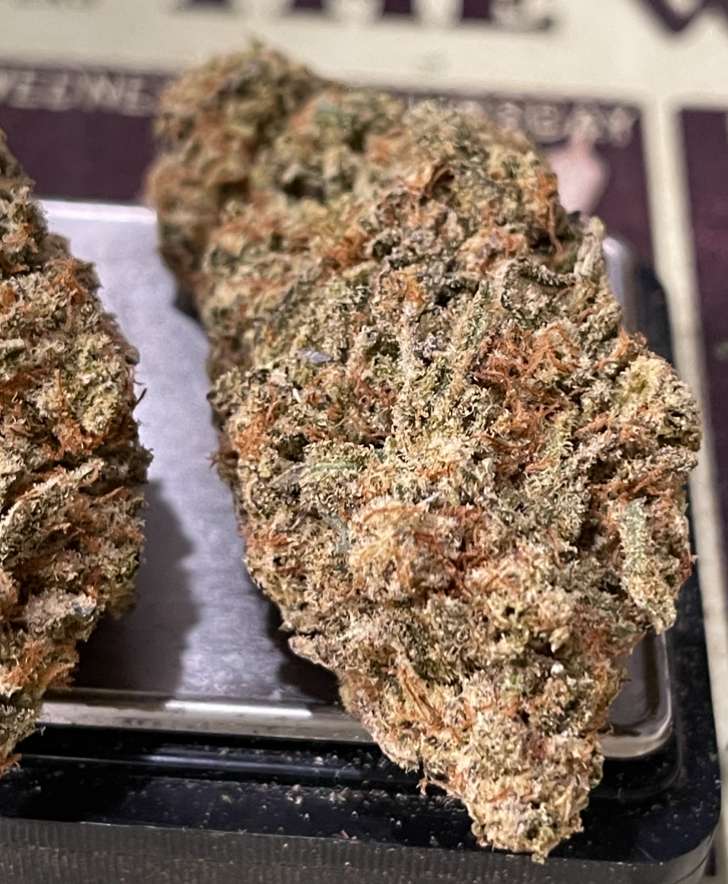 PINNEAPPLE 🍍 MAC 4GRAMS 31%THC INDICA 🎉BLACK FRIDAY SALE🎉 PINNEAPPLE 🍍 MAC 4GRAMS 31%THC INDICA 🎉BLACK FRIDAY SALE🎉