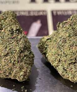 LAUGHING BUDHA  28grams OZ 25%THC SALE SATIVA 🔥🔥