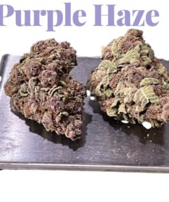 PURPLE HAZE 7gSATIVA ON SALE 🔥🔥26% QUARTER BLACK FRIDAY WEEK SALES 🔥 PURPLE HAZE 7gSATIVA ON SALE 🔥🔥26% QUARTER BLACK FRIDAY WEEK SALES 🔥