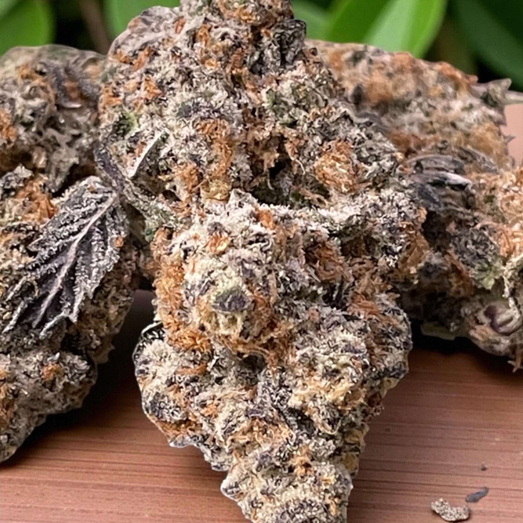 NINO BROWN 3.5grams 35%THC HYBRID 🔥EXOTICS 🎉BLACK FRIDAY🎉 NINO BROWN 3.5grams 35%THC HYBRID 🔥EXOTICS 🎉BLACK FRIDAY🎉