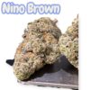 NINO BROWN 3.5grams 35%THC HYBRID 🔥EXOTICS 🎉BLACK FRIDAY🎉