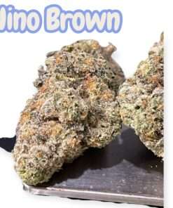 NINO BROWN 3.5grams 35%THC HYBRID 🔥EXOTICS 🎉BLACK FRIDAY🎉