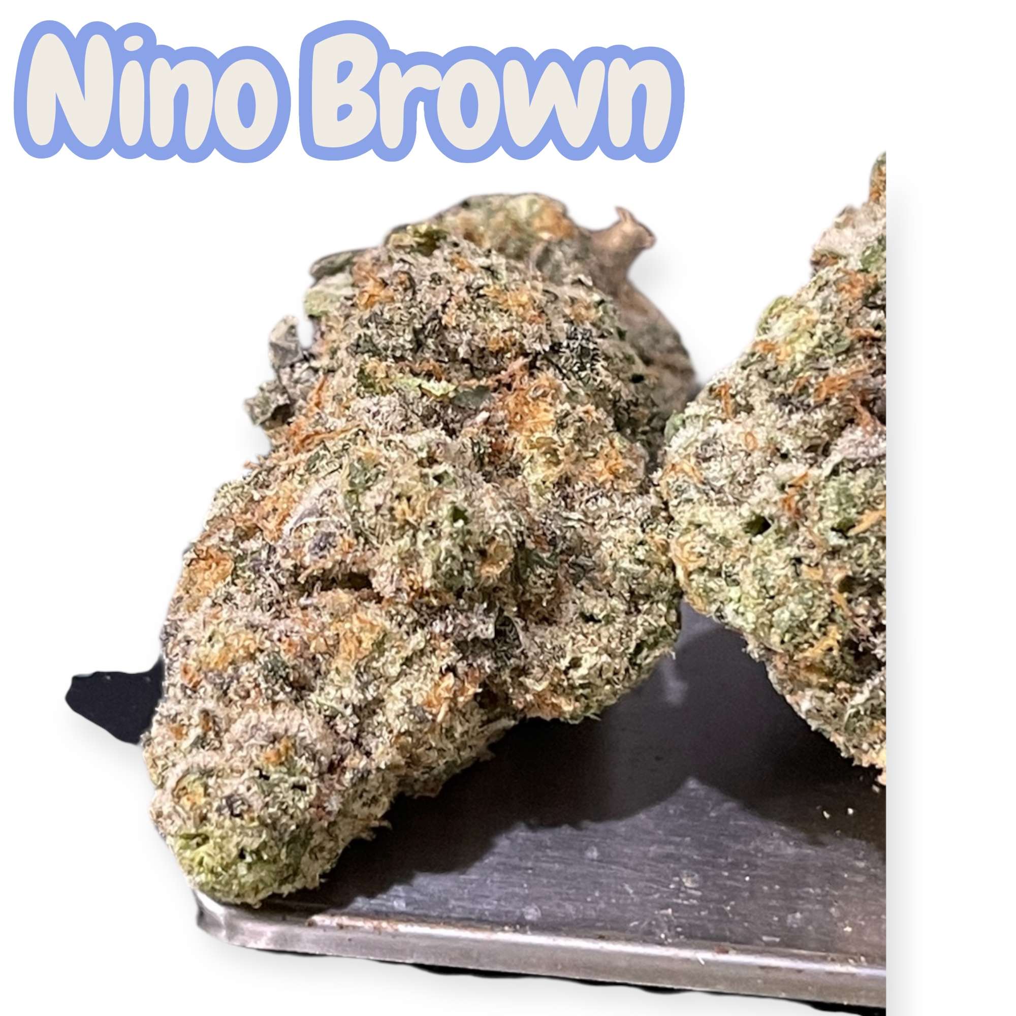 NINO BROWN 3.5grams 35%THC HYBRID 🔥EXOTICS 🎉BLACK FRIDAY🎉 NINO BROWN 3.5grams 35%THC HYBRID 🔥EXOTICS 🎉BLACK FRIDAY🎉