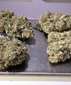 GORILLA CAKE 🦍 7GRAMS QUARTER HYBRID  🎉BLACK FRIDAY SALE 🎉25%THC