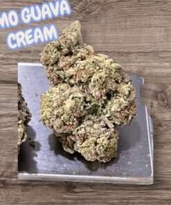 GMO GUAVA CREAM 28GRAMS OZ SALE 25%THC INDICA 🔥🔥