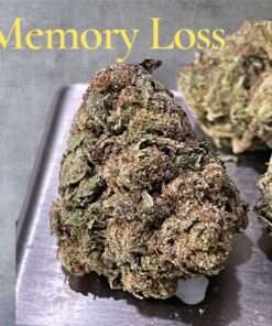 MEMORY LOSS 28grams SATIVA 28%THC on sale 🔥🔥