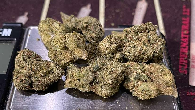 CANDY BLAST 7GRAMS QUARTER HYBRID 25%THC 🎉DECEMBER SALE🎉 CANDY BLAST 7GRAMS QUARTER HYBRID 25%THC 🎉DECEMBER SALE🎉