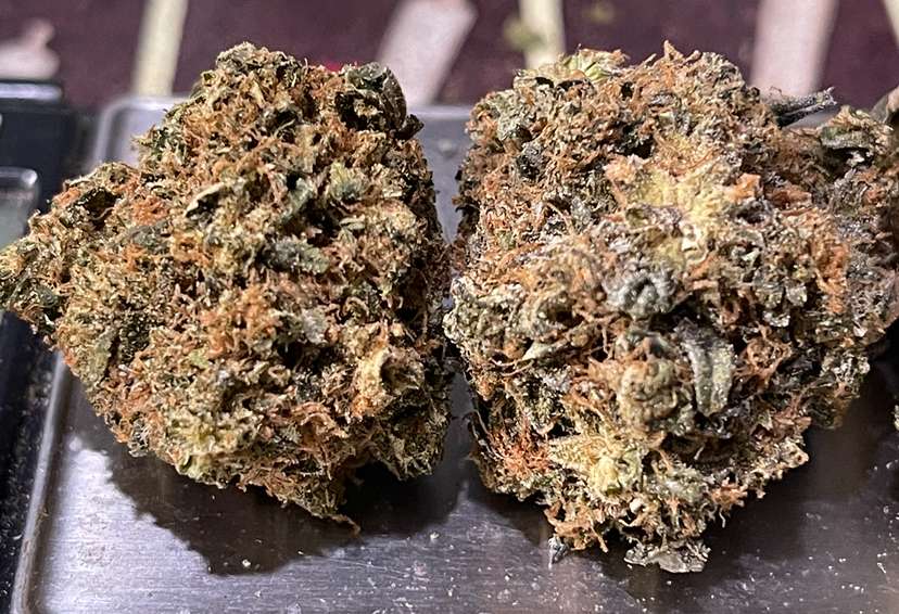 MANGO OG 4GRAMS INDICA 30%THC 🎉DECEMBER SALE🎉 MANGO OG 4GRAMS INDICA 30%THC 🎉DECEMBER SALE🎉