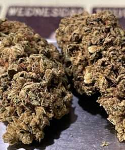 GORILLA COOKIES 7GRAMS 25%THC HYBRID 🎉DECEMBER SALE🎉