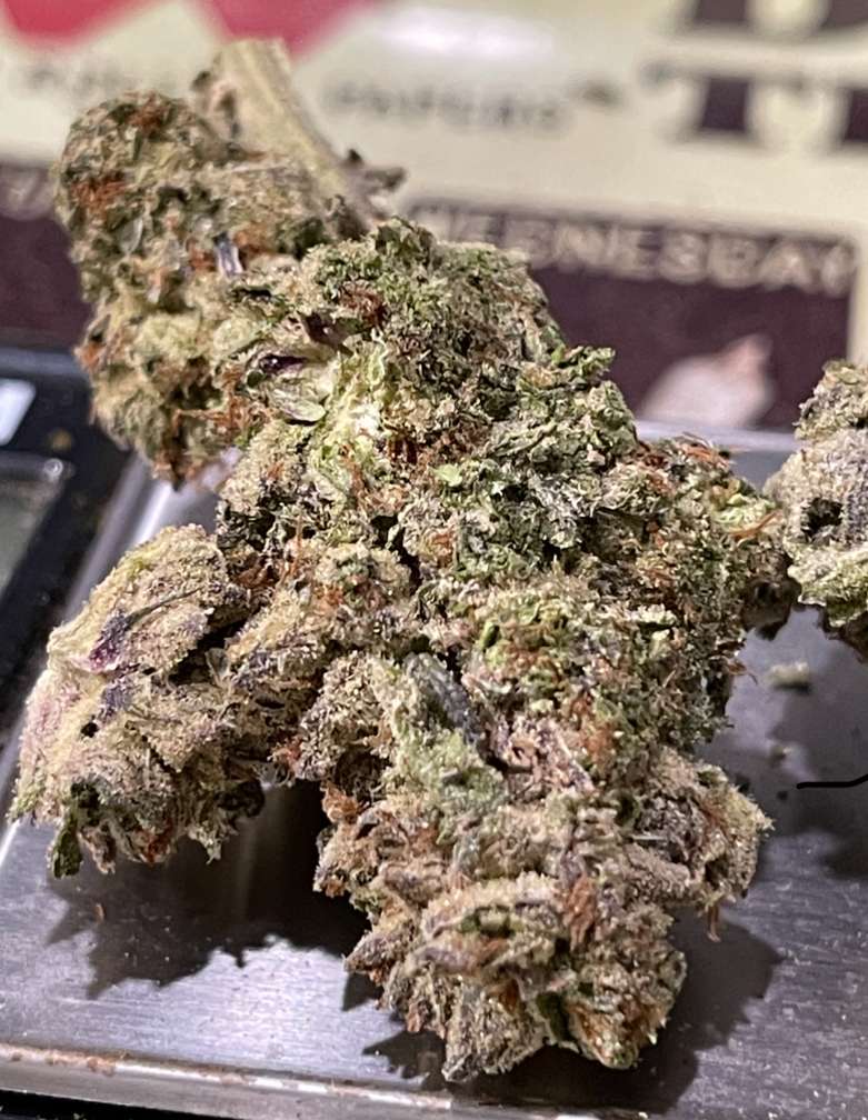 VANILLA CREAM 7GRAMS QUARTER 25%THC INDICA VANILLA CREAM 7GRAMS QUARTER 25%THC INDICA