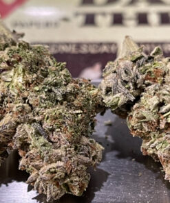 VANILLA CREAM 7GRAMS QUARTER 25%THC INDICA