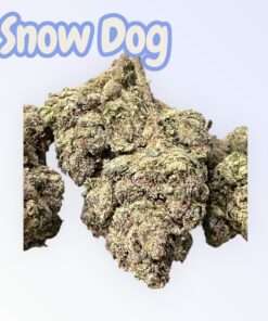 SNOW DOG 🐶 28grams OZ SALE 29%THC SATIVA 🔥🔥