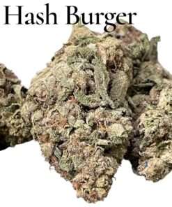 HASH BURGER 28grams Oz SALE 25%THC HYBRID