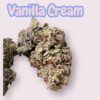 VANILLA CREAM 7GRAMS QUARTER 25%THC INDICA
