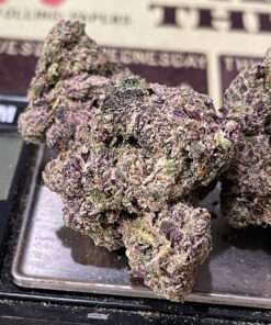 HOLLYWOOD RUNTZ 3.5grams HYBRID 37%THC EXOTICS++ LIMITED BATCH 🔥🔥