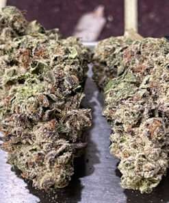 WHITE TRUFLE 28grams OZ HYBRID 29%THC 🔥🔥