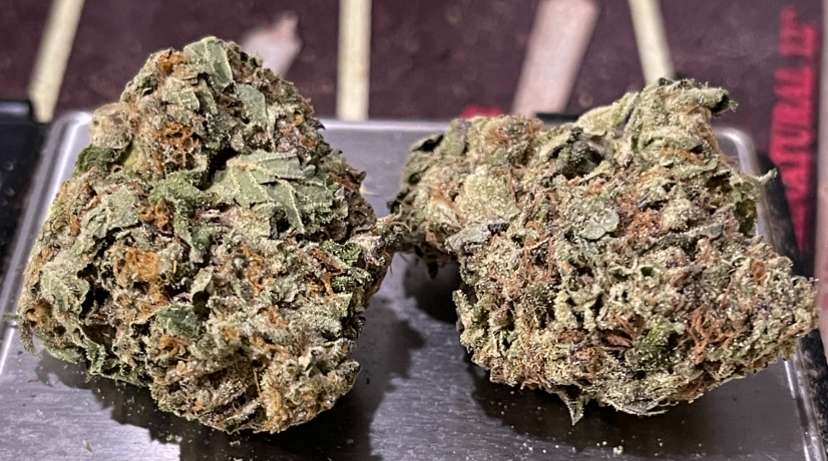 MONSTER COOKIES 28grams INDiCA OZ ON SALE 25%THC MONSTER COOKIES 28grams INDiCA OZ ON SALE 25%THC