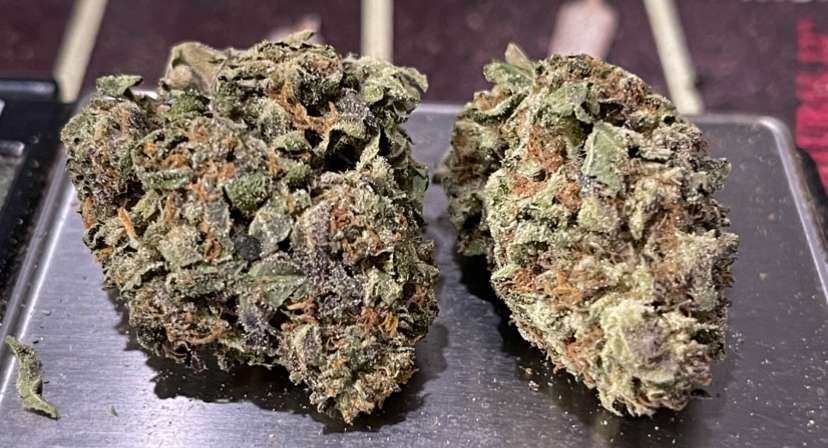 MONSTER COOKIES 28grams INDiCA OZ ON SALE 25%THC MONSTER COOKIES 28grams INDiCA OZ ON SALE 25%THC