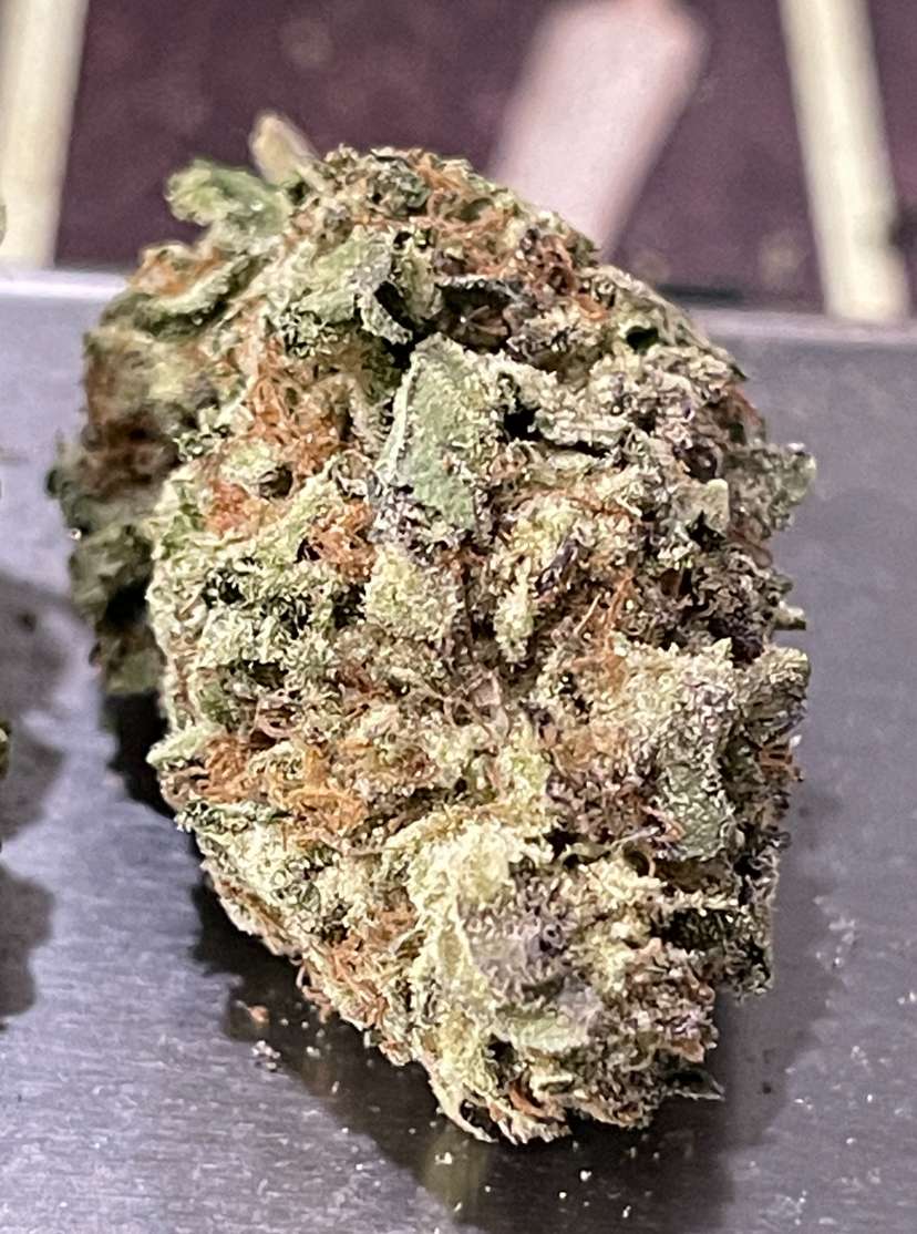 MONSTER COOKIES 28grams INDiCA OZ ON SALE 25%THC MONSTER COOKIES 28grams INDiCA OZ ON SALE 25%THC
