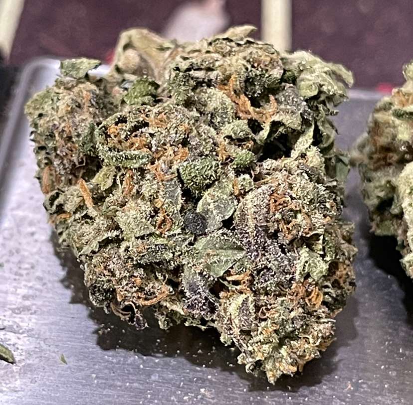 MONSTER COOKIES 28grams INDiCA OZ ON SALE 25%THC MONSTER COOKIES 28grams INDiCA OZ ON SALE 25%THC