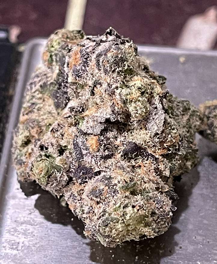 BLUE ZUSHI 3.5g. EXOTIC 🔥🔥 HYBRID 36%THC 🥶SALE🥶 BLUE ZUSHI 3.5g. EXOTIC 🔥🔥 HYBRID 36%THC 🥶SALE🥶