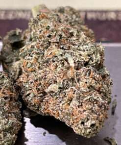 BUBBLEGUM GELATO 3.5g HYBRID EXOTICS 36%THC 🥶WINTER SALE🥶