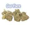 GAS FACE 7GRAMS QUARTER 25%THC HYBRID 🔥🔥